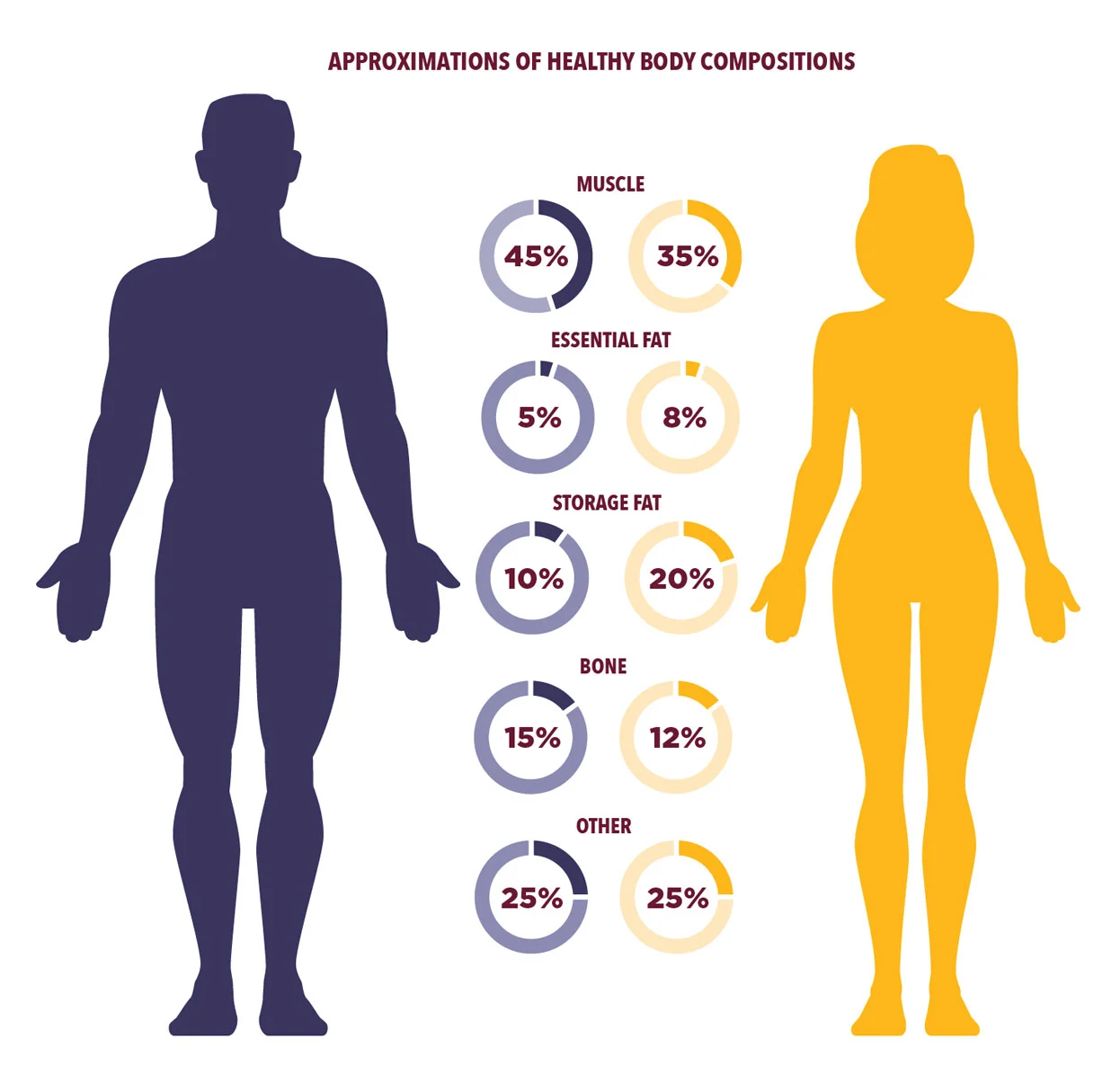 Body Fat Percentage Calculator